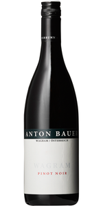 Anton Bauer, Pinot Noir Wagram 2019 (v/6stk) - Rødvin