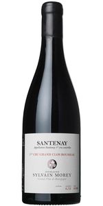 Sylvain Morey, Santenay 1.Cru Grand Clos Rousseau 2019 - Rødvin