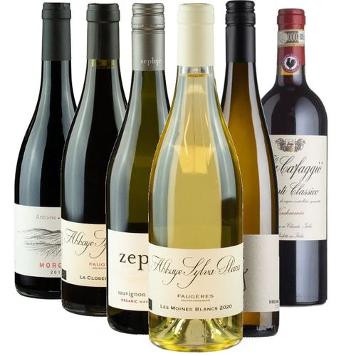 Smagekasse - Økologisk vin