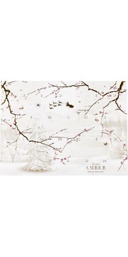 Summerbird - Amber Julekalender 2025