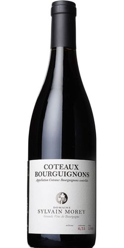 Sylvain Morey, Coteaux Bourguignons 2019