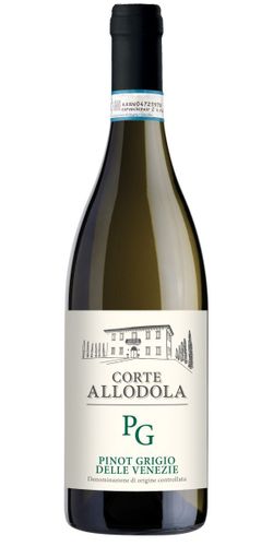 Corte Allodola Pinot Grigio Delle Venezie DOC 2024