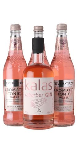 Rhubarb Gin & Tonic