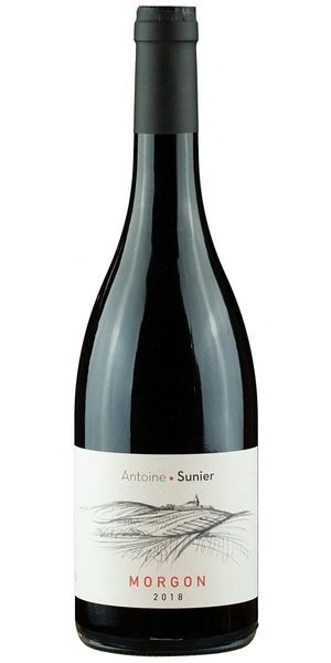 Antoine Sunier, Morgon 2023